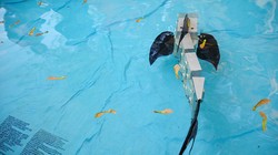 Video: Robot rắn nước xuất hiện tại Na Uy