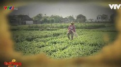 VTV xác nhận, phóng viên thực hiện phóng sự này đã vi phạm nghiêm trọng đạo đức nghề báo.