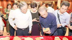 Những hiện vật quý được phát hiện ở các di tích khai quật tại thị xã An Khê, tỉnh Gia Lai