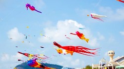 Dịch vụ S-wifi cung cấp wifi miễn phí cho toàn thành phố Vũng Tàu giai đoạn 1, và chuẩn bị tiến hành triển khai giai đoạn tiếp theo.