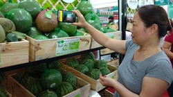 Người tiêu dùng truy xuất nguồn gốc trái cây bằng smartphone thông qua mã QR code.