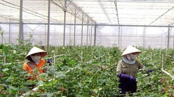 Ảnh chỉ có tính minh họa.