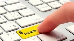 Ảnh minh hoạ: Internet.