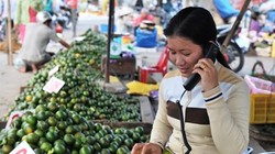 Từ 0h sáng ngày 17/6, mã vùng điện thoại cố định của 23 tỉnh thành, bao gồm cả Hà Nội và TP.HCM sẽ thay đổi. 