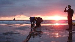 Tính từ  đầu năm 2017 đến nay, tuyến cáp quang biển quốc tế AAG đã  3 lần gặp sự cố, lần lượt vào các ngày 8/1, 18/2 và gần đây nhất là 27/8. Ảnh minh hoạ: VNPT