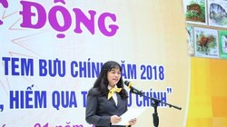 Bà Chu Thị Lan Hương, Phó Tổng giám đốc Tổng công ty BĐVN phát biểu.  Ảnh: Thái Anh.
