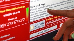 Ảnh minh họa: Rbth.com