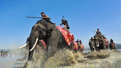 Tác phẩm “Về đích” của tác giả Ngô Minh Phương giành giải cao trong cuộc thi ảnh Di sản Việt Nam 2017.