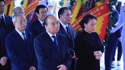 Trong niềm tiếc thương vô hạn, Đoàn Ban Chấp hành Trung ương Đảng do ông Nguyễn Xuân Phúc, Ủy viên Bộ Chính trị, Thủ tướng Chính phủ làm Trưởng đoàn dẫn đầu vào viếng Đại tướng Lê Đức Anh. 