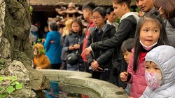 Sở GD&ĐT yêu cầu hướng dẫn học sinh hạn chế đến các khu chợ bán đồ tươi sống, những nơi tụ tập đông người; chú ý ăn chín, uống sôi. Ảnh minh họa: Báo KTĐT.