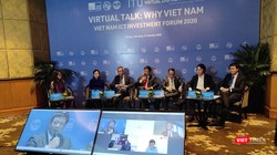 Ông Đỗ Công Anh phát biểu tại phiên thảo luận quốc tế trực tuyến với chủ đề Why Vietnam. 