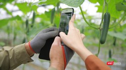 Nông dân Hải Dương được hỗ trợ tiếp cận nền tảng kinh doanh số.