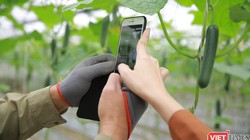 Nông dân được hỗ trợ tiếp cận nền tảng kinh doanh số.