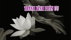 Thành kính phân ưu