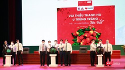 Đại diện các cơ quan, bộ ngành thực hiện bấm nút khởi động chương trình đưa vải thiều và nông sản Hải Dương lên các sàn thương mại điện tử