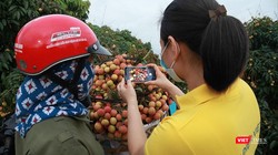 Nhân viên Bưu điện hỗ trợ nông dân đưa nông sản lên sàn TMĐT Postmart.