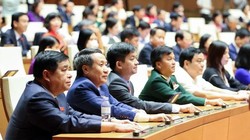 Các đại biểu Quốc hội thực hiện biểu quyết thông qua các nghị quyết. Ảnh: VGP.