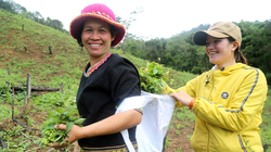 15.000 người dân, trong đó có 7.000 phụ nữ - chủ yếu là phụ nữ Êđê sẽ được tiếp cận với thương mại điện tử.