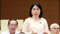 Đại biểu Quốc hội tỉnh Bình Dương Nguyễn Thị Ngọc Xuân phát biểu.