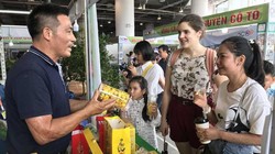 Sản phẩm trà hoa vàng được người tiêu dùng nước ngoài ưa chuộng.