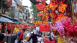 Chợ hoa Tết Hàng Lược rực rỡ đủ loại đồ trang trí ngày Tết.