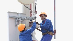 Đấu giá lại băng tần 5G, giá khởi điểm gần 2.582 tỉ đồng