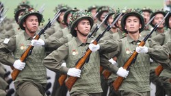 Khắc họa 80 năm trưởng thành của Quân đội nhân dân Việt Nam qua tem bưu chính