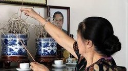 Bà Lê Hoàng Mai thắp hương cho chồng - cố Thứ trưởng Ngoại giao Lê Mai. Ảnh Huỳnh Phan.