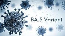 Biến thể Omicron BA.5 đang lây lan nhanh 
