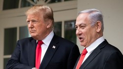 Tổng thống Trump "dỗ dành" người bạn thân bằng món quà đặc biệt (Ảnh: Business Insider)