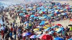 Dân số thế giới sắp cán mốc 8 tỷ người (Ảnh: Getty)