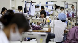 Công nhân làm việc tại một xưởng may xuất khẩu (Ảnh: Dailymail)