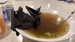 Canh dơi là món ăn khá phổ biến, thậm chí được xem là đặc sản ở Trung Quốc (Ảnh: RT)