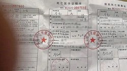 Giấy chứng tử của ông Li Liang, một bệnh nhân COVID-19 "đã khỏi bệnh" (Ảnh: SCMP)