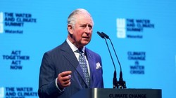 Thái tử Charles có kết quả xét nghiệm dương tính với virus corona chủng mới (Ảnh: Mirror)