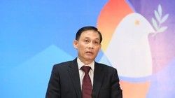  Thứ trưởng Bộ Ngoại giao Lê Hoài Trung (Ảnh: BNG)