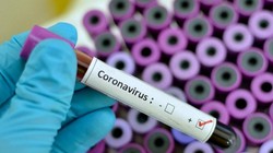 Ảnh minh họa (Ảnh: The Lancet)