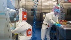 Nhân viên làm việc trong phòng thí nghiệm virus ở Vũ Hán (Ảnh: Vox)