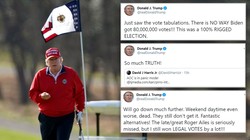 Tổng thống Trump đi đánh golf và tung loạt tweet cáo buộc bầu cử gian lận (Ảnh: DailyMail)