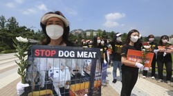 Thịt chó là món ăn truyền thống ở Hàn Quốc nhưng ngày nay nhiều người không còn mặn mà với món này (Ảnh: AP).