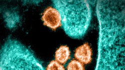 Nhiều nước đưa ra cảnh báo và áp dụng hạn chế di chuyển sau khi biến chủng Omicron xuất hiện (Ảnh: AFP)