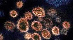 Mỹ ngợi khen Nam Phi vì phát hiện sớm biến chủng Omicron và chia sẻ thông tin với thế giới (Ảnh: AP)