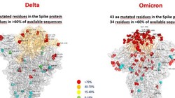 Hình ảnh so sánh biến chủng Delta và Omicron (Ảnh: RT).