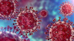 Omicron là biến chủng chứa nhiều đột biến trên protein gai (Ảnh: Nature).