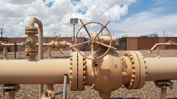 Ảnh minh họa: Getty