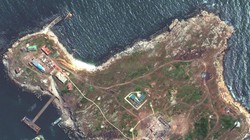 Đảo Rắn trong bức ảnh chụp từ vệ tinh (Ảnh: Maxar)