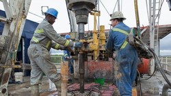 Ảnh minh họa: Getty