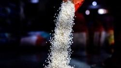 Giá gạo ở châu Á tăng do lo ngại về nguồn cung khi nhà xuất khẩu hàng đầu Ấn Độ thực hiện nhiều hạn chế hơn (Ảnh: Bloomberg)