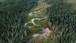 Con đường đi đến "Vành đai lửa" ở Bắc Ontario chụp từ trên cao (Ảnh: WSJ)