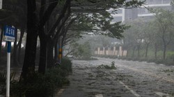 Những cành cây rơi trên đường phố trước khi siêu bão Yagi đổ bộ vào Hải Khẩu, tỉnh Hải Nam, phía nam Trung Quốc (Ảnh: Xinhua)